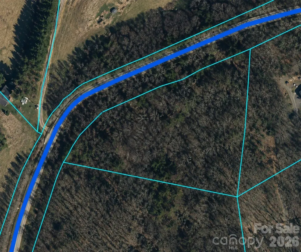 0 Clarks Branch Road Leicester, NC 28748