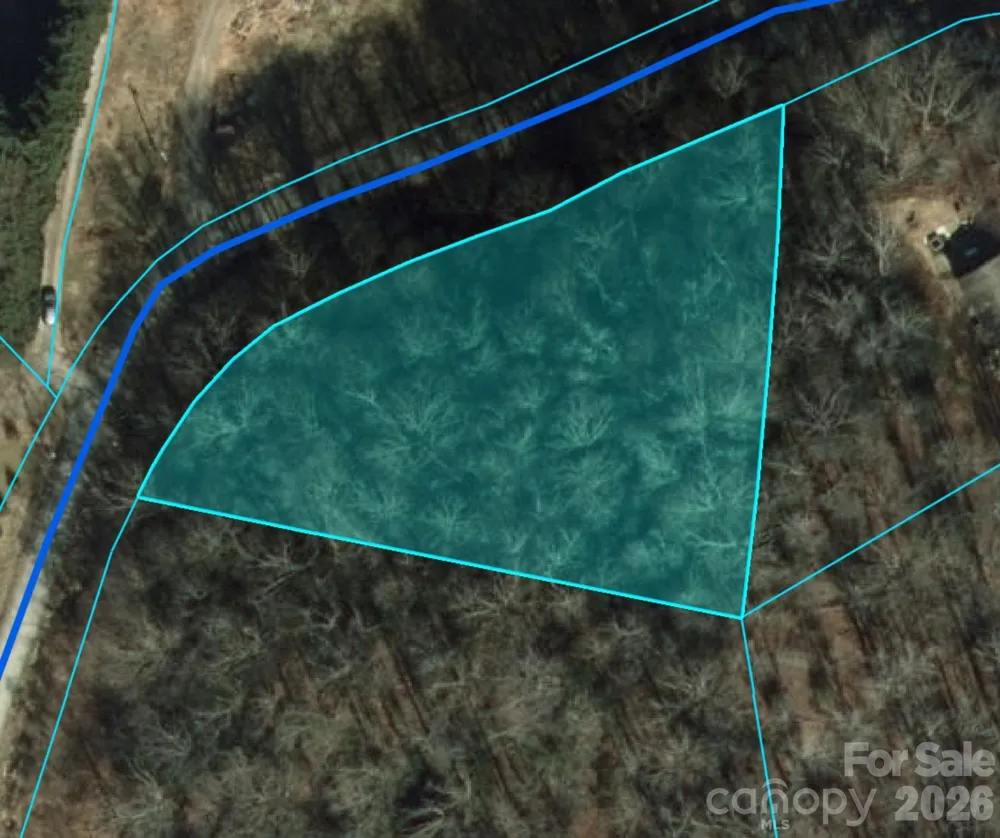 0 Clarks Branch Road Leicester, NC 28748