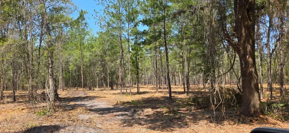 10434 SE 225TH DRIVE Hawthorne, FL 32640