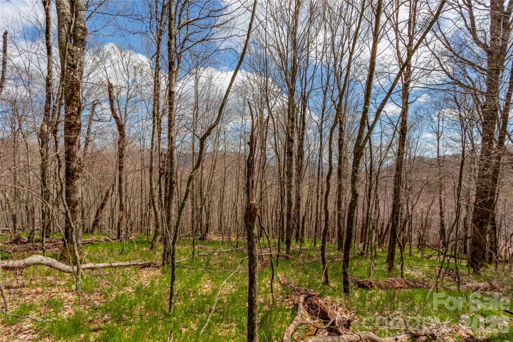 lots 4,5 & 7 Mule Trail Drive Bakersville, NC 28705