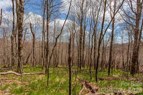 lots 4,5 & 7 Mule Trail Drive