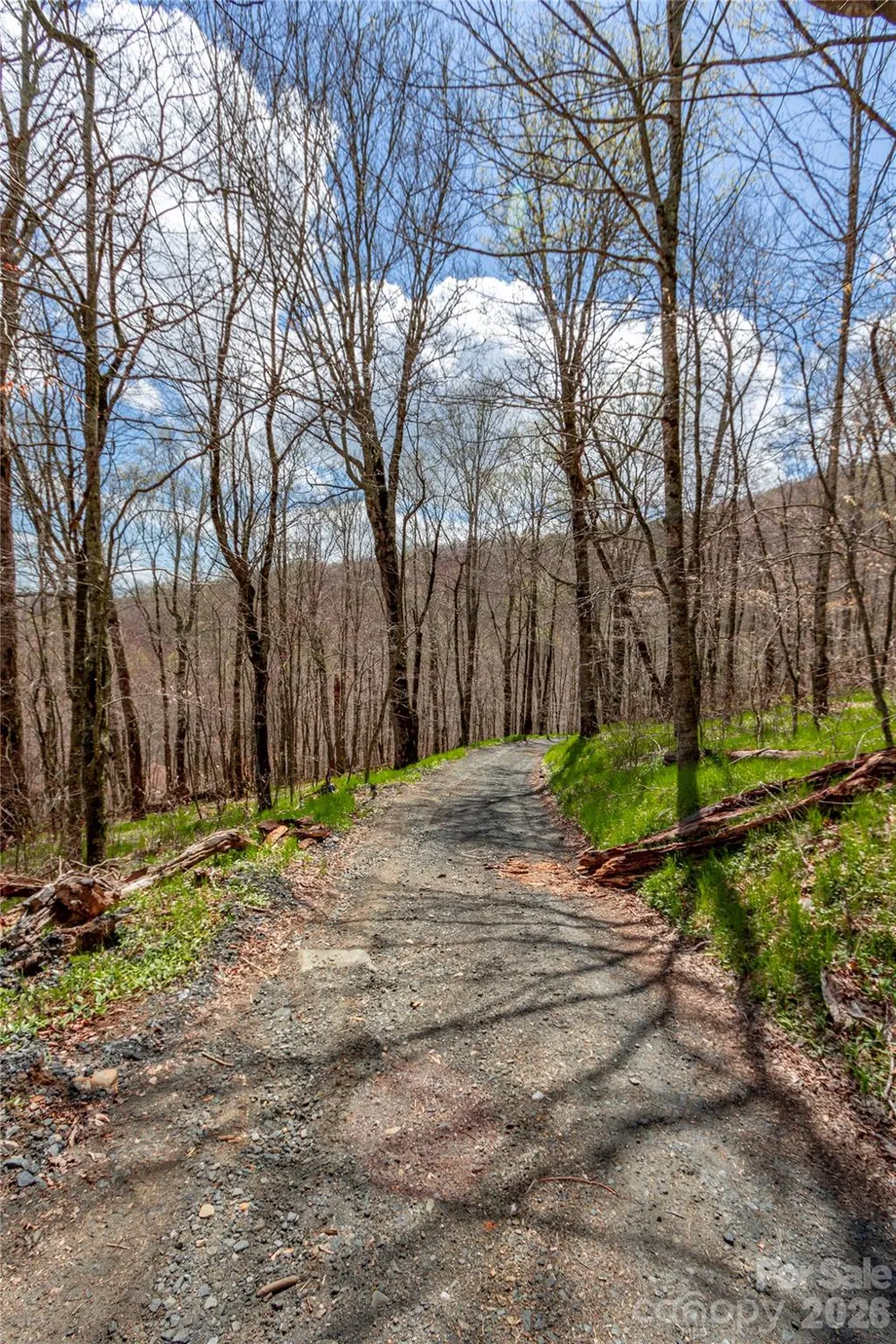 lots 4,5 & 7 Mule Trail Drive Bakersville, NC 28705
