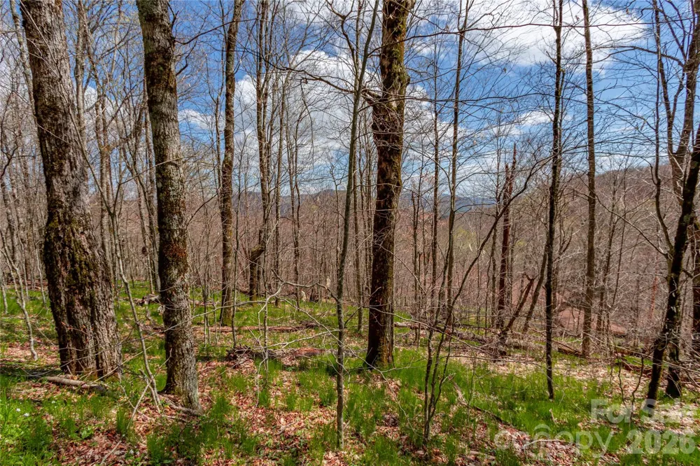 lots 4,5 & 7 Mule Trail Drive Bakersville, NC 28705