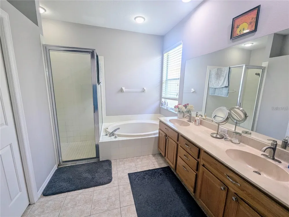 11236 BLACKSMITH DRIVE Tampa, FL 33626