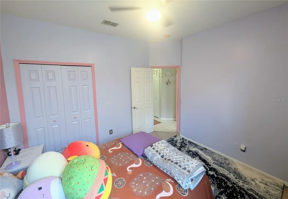 11236 BLACKSMITH DRIVE Tampa, FL 33626