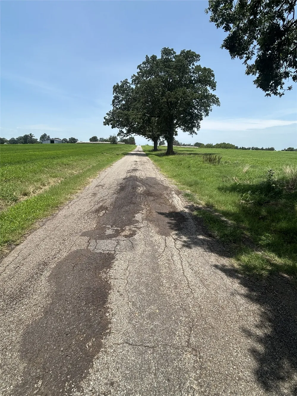 S FM 900 Saltillo, TX 75478