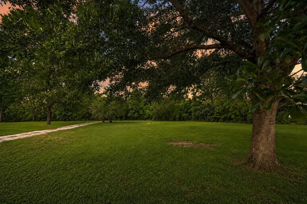 30315 Second Street Fulshear, TX 77441