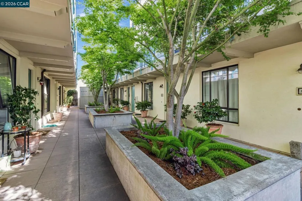 4395 Piedmont Ave #P208 Oakland, CA 94611