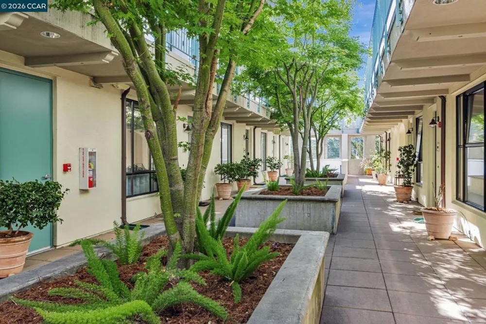 4395 Piedmont Ave #P208 Oakland, CA 94611