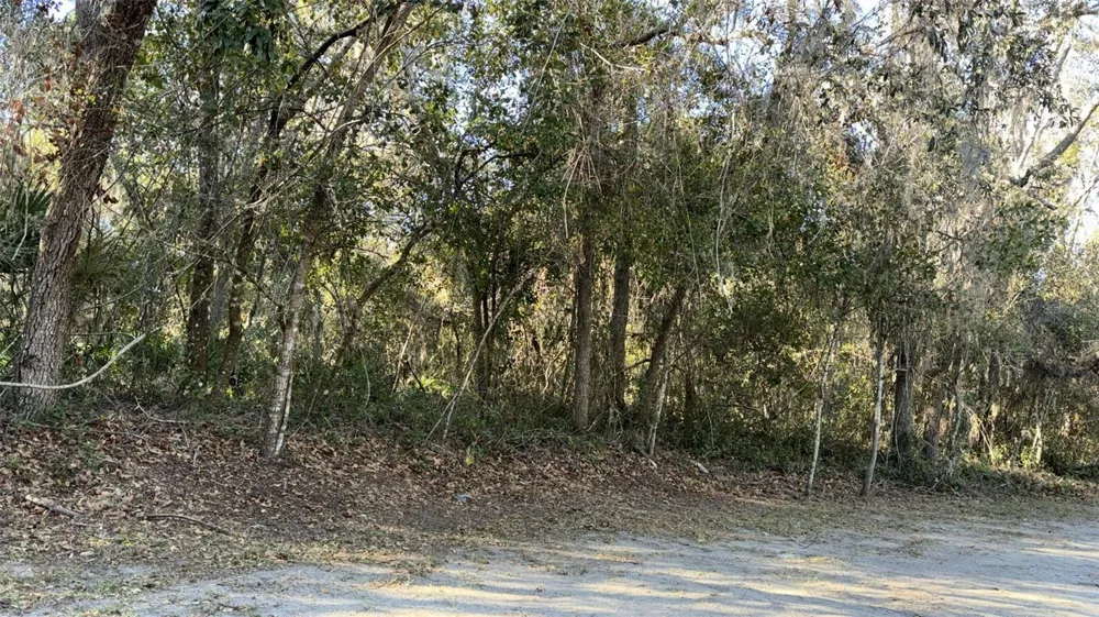 0 BOUNTY/BARRETT New Port Richey, FL 34654