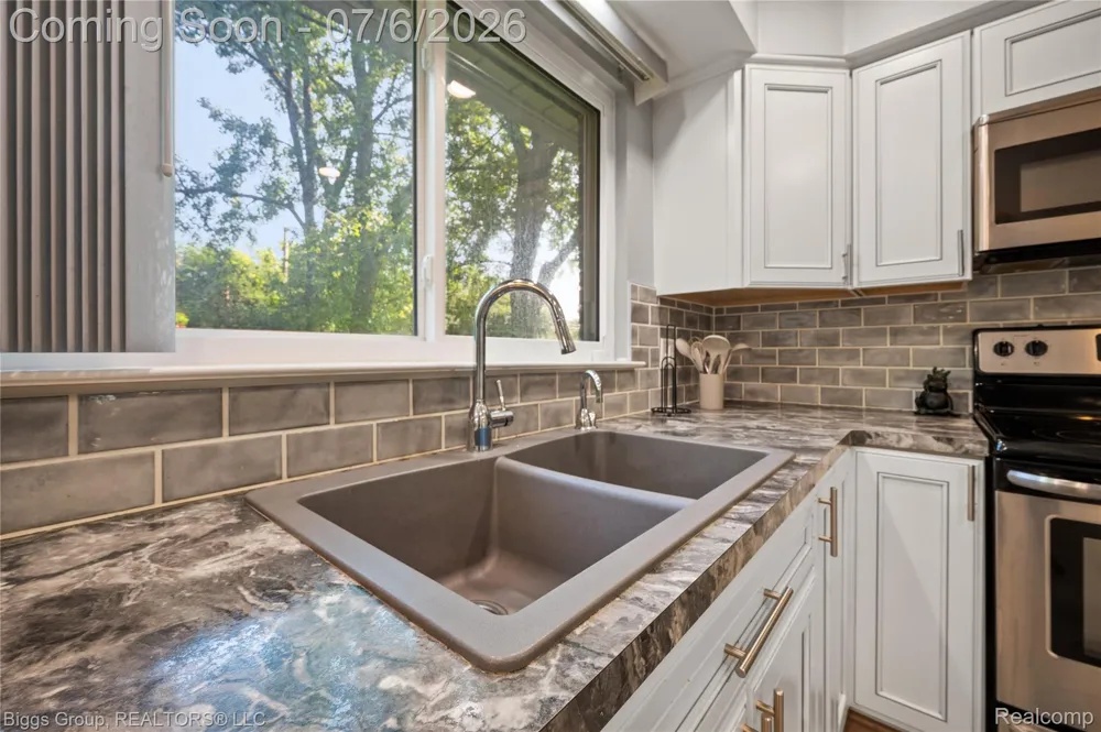 26207 Meadowbrook Way Lathrup Village City, MI 48076