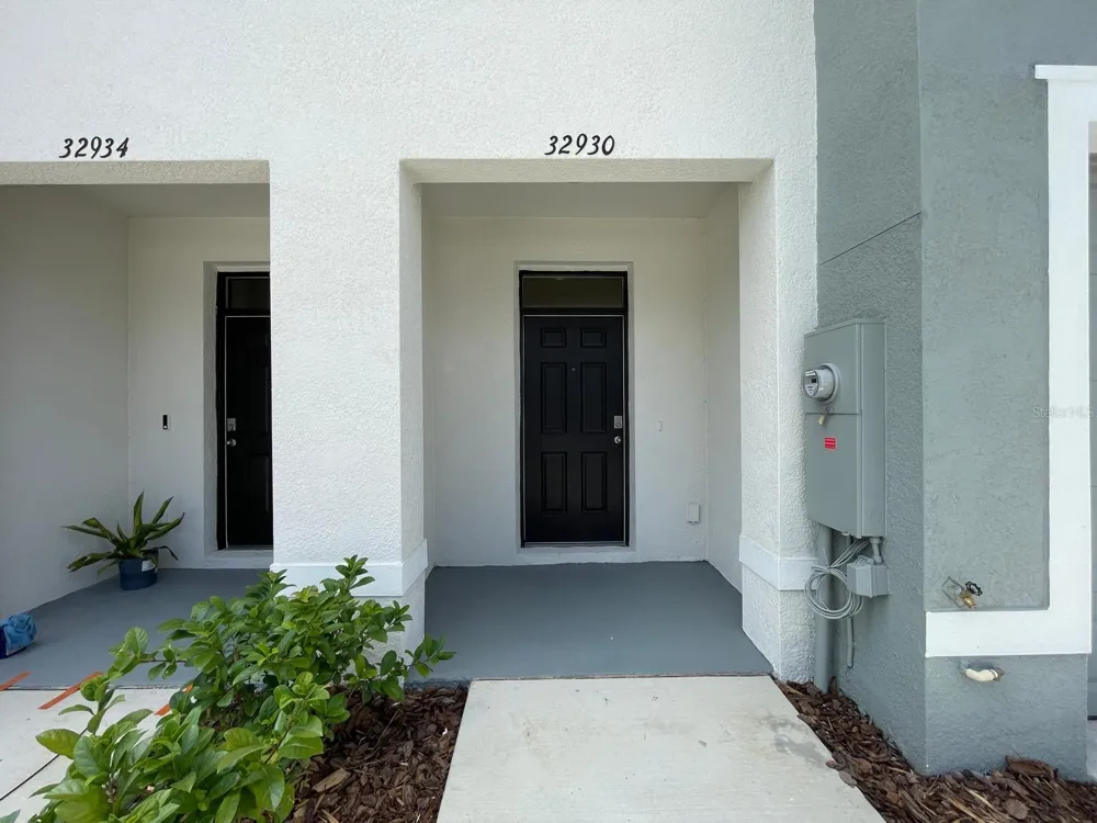32930 REGENT CANAL STREET Wesley Chapel, FL 33545