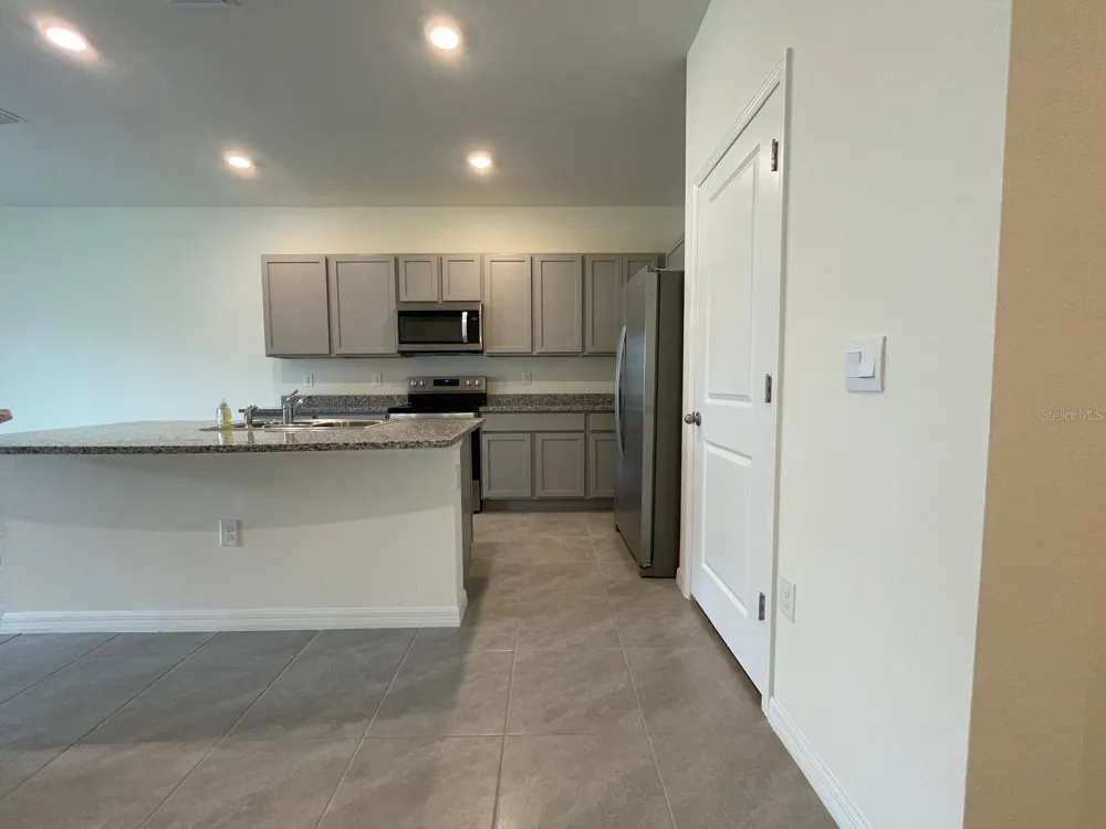 32930 REGENT CANAL STREET Wesley Chapel, FL 33545