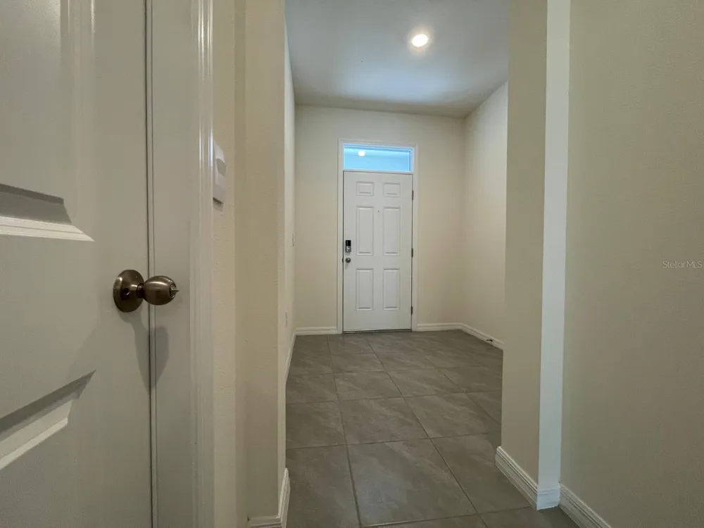 32930 REGENT CANAL STREET Wesley Chapel, FL 33545