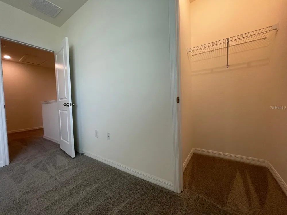 32930 REGENT CANAL STREET Wesley Chapel, FL 33545