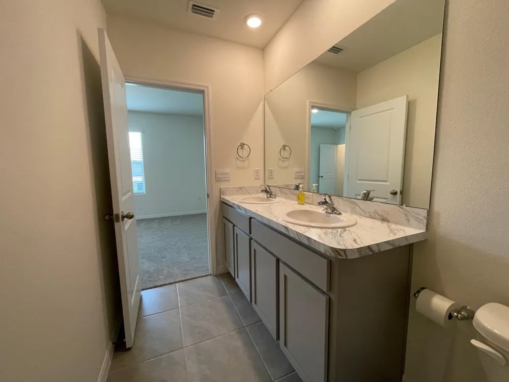 32930 REGENT CANAL STREET Wesley Chapel, FL 33545