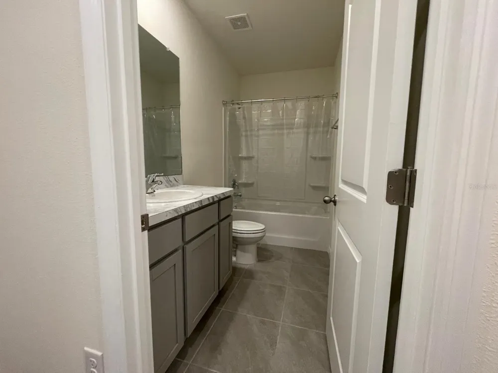 32930 REGENT CANAL STREET Wesley Chapel, FL 33545
