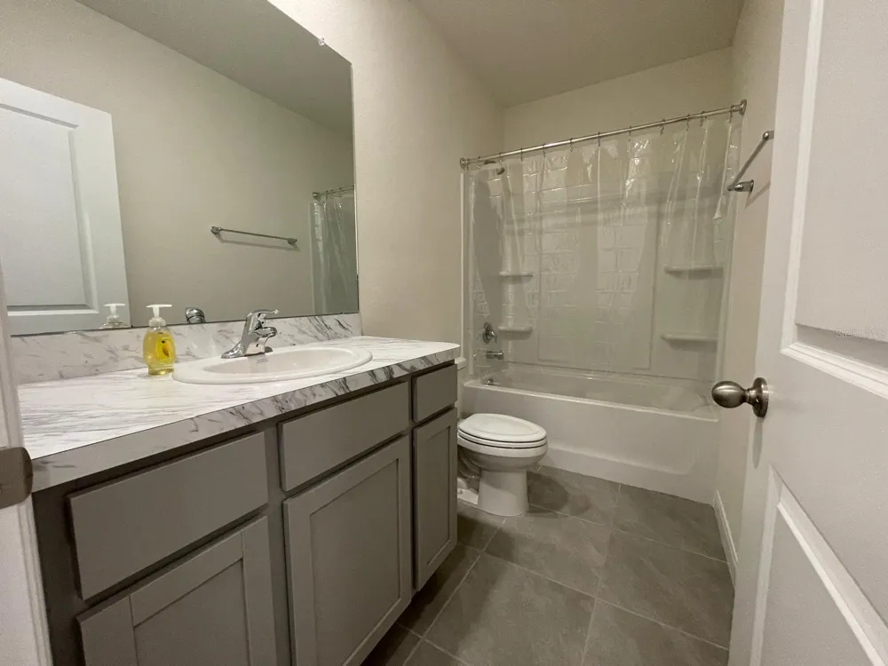 32930 REGENT CANAL STREET Wesley Chapel, FL 33545