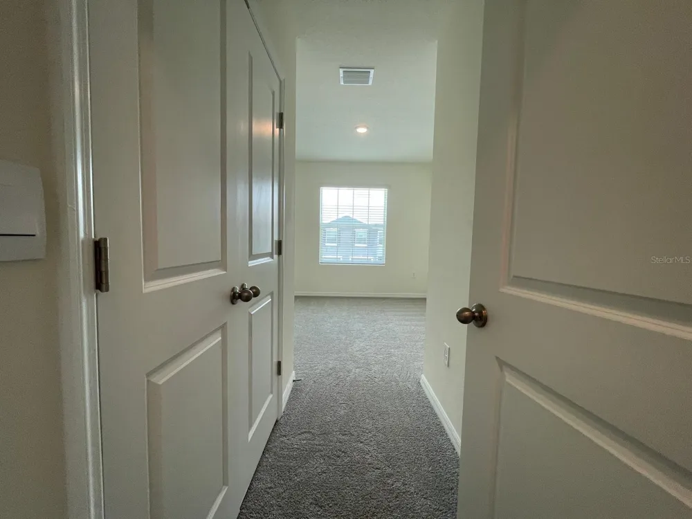 32930 REGENT CANAL STREET Wesley Chapel, FL 33545