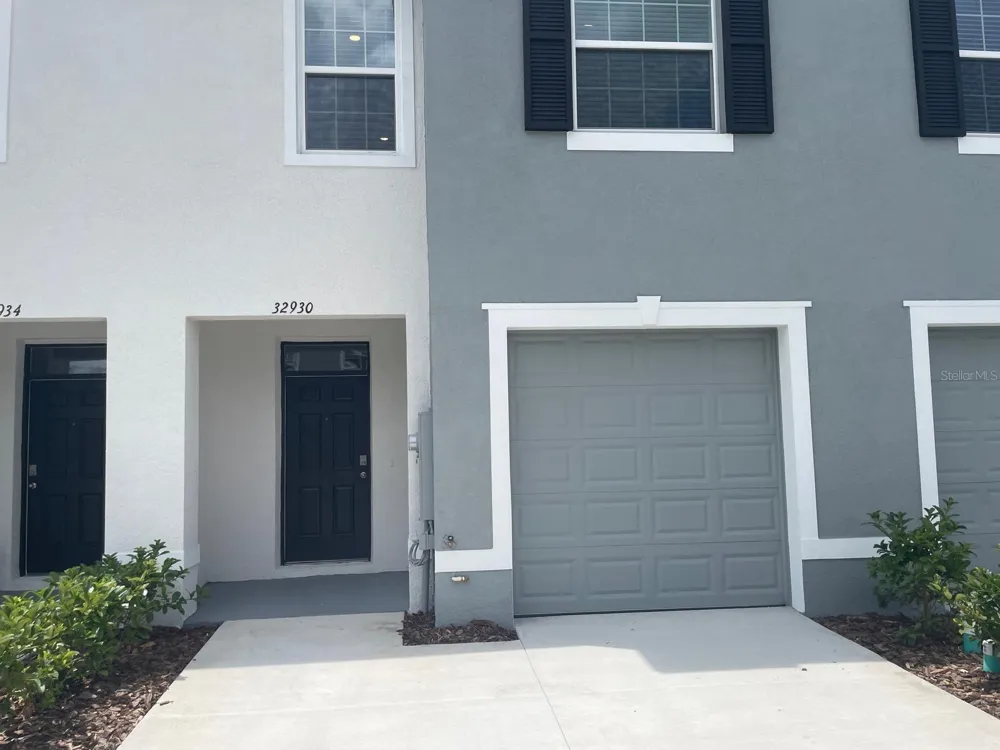 32930 REGENT CANAL STREET Wesley Chapel, FL 33545