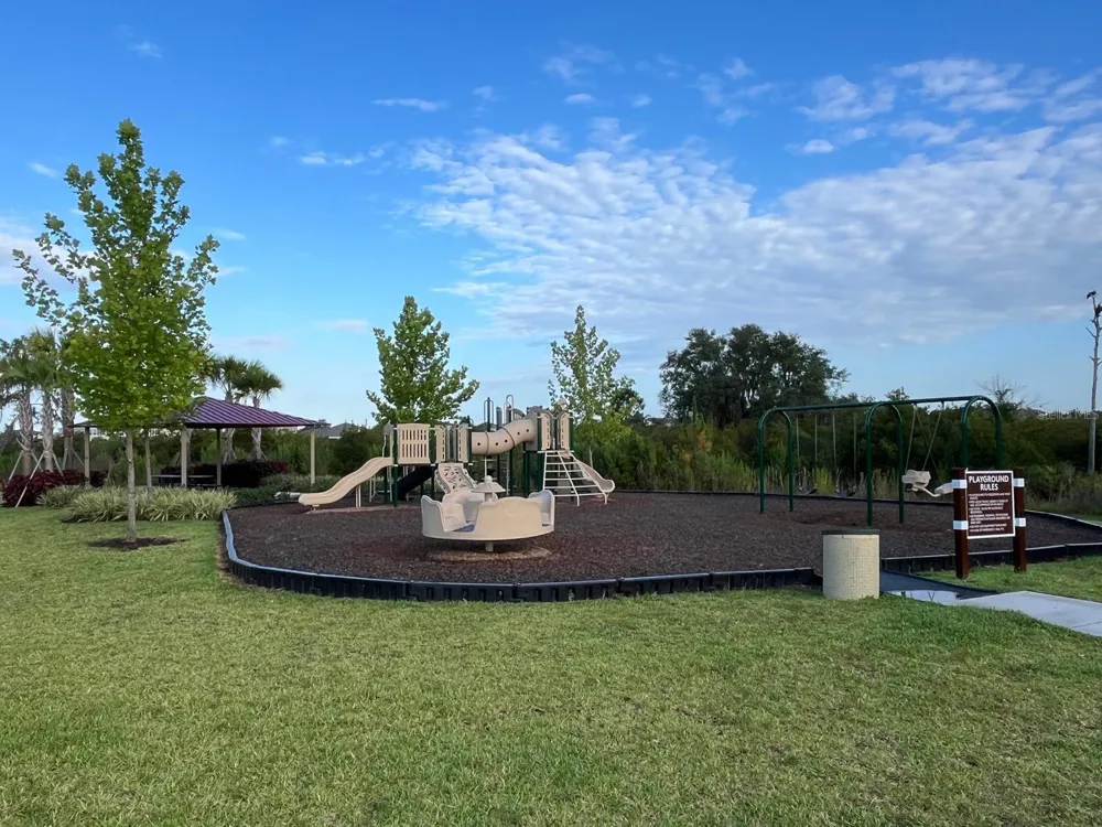 32930 REGENT CANAL STREET Wesley Chapel, FL 33545