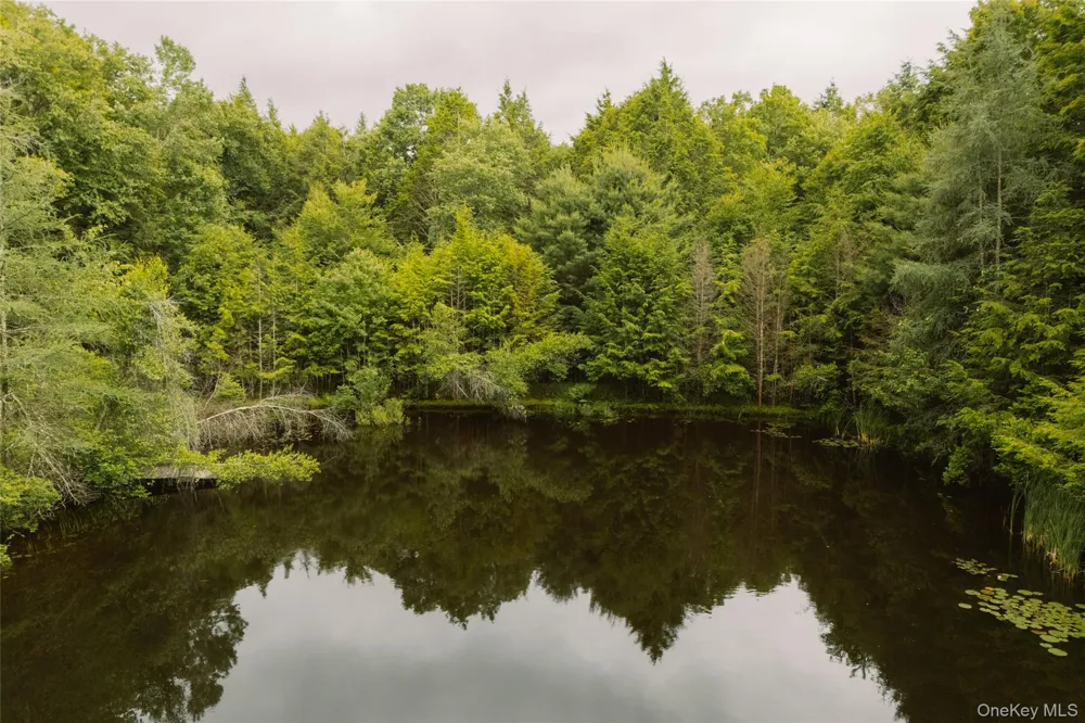 196 County Road 115 Bethel, NY 12726