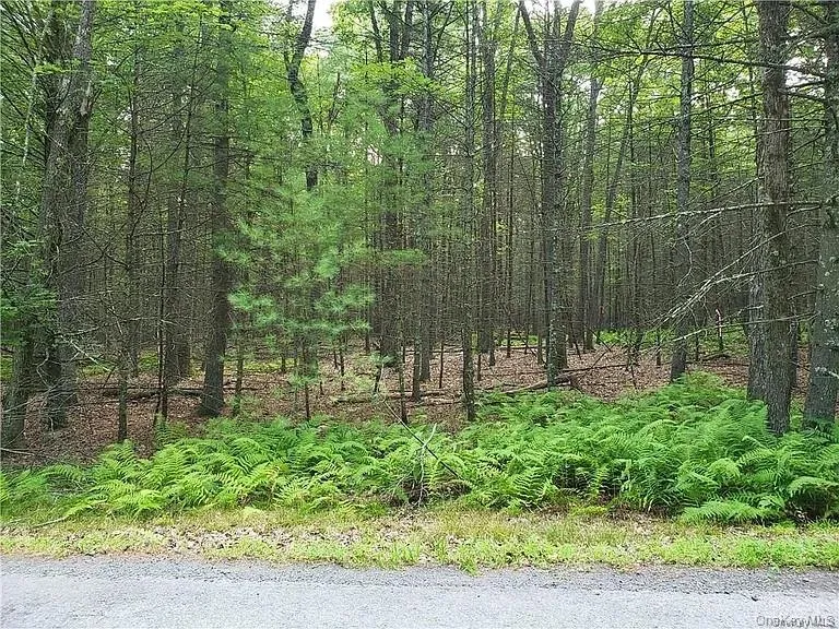 00 Summit Drive Yulan, NY 12792