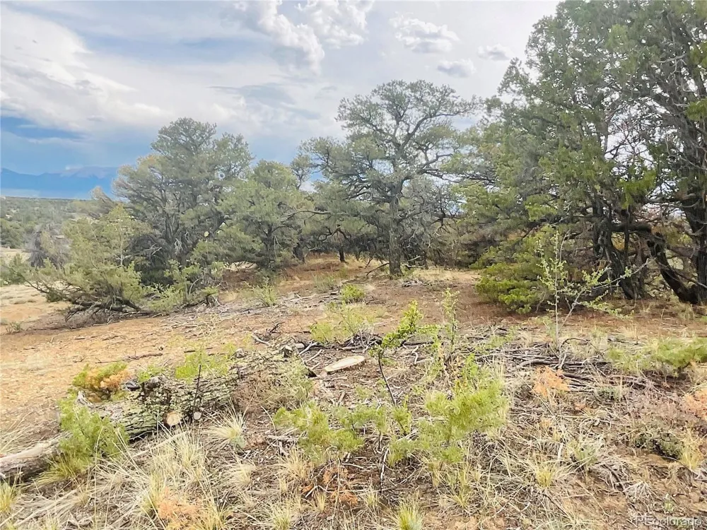 Lot 17 Phase 3 Navajo Ranch Resort Walsenburg, CO 81089