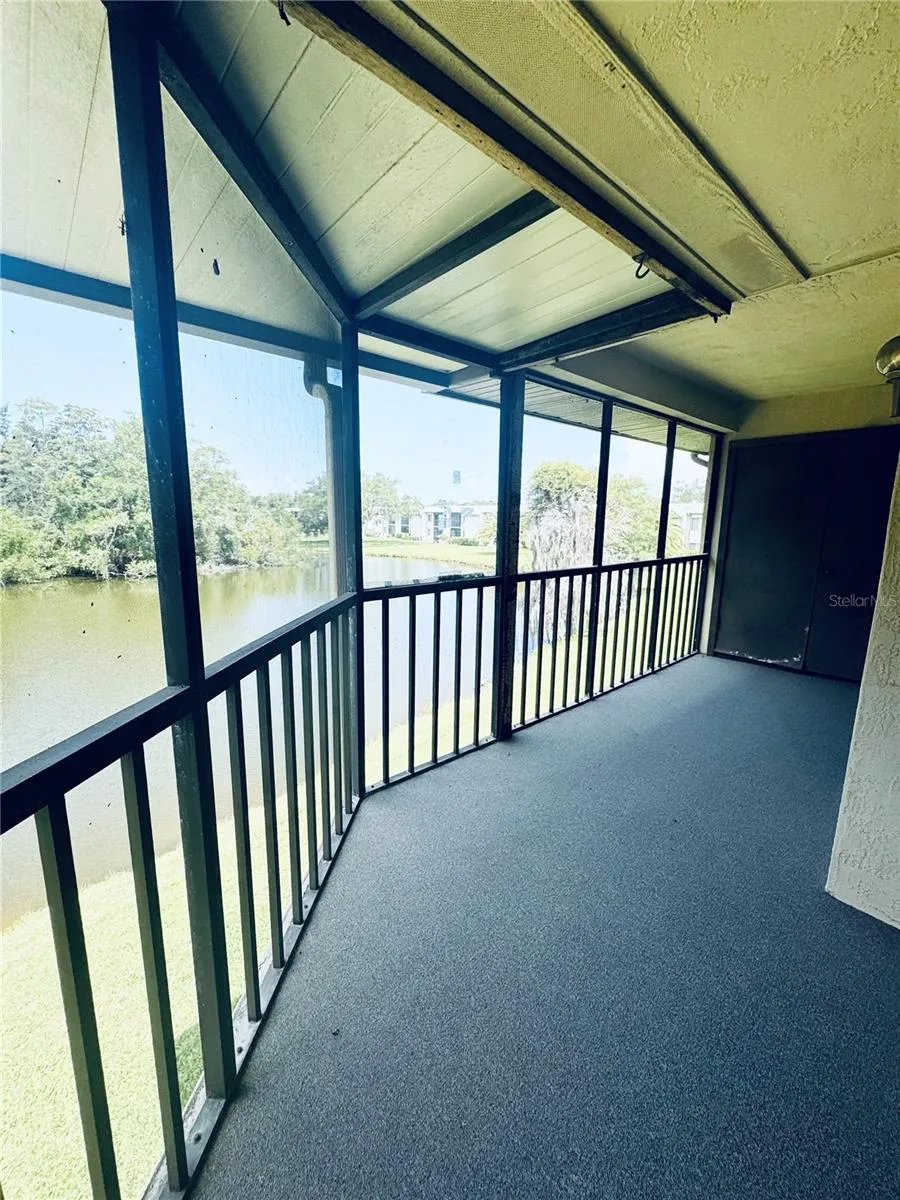 328 WOODLAKE WYNDE Oldsmar, FL 34677