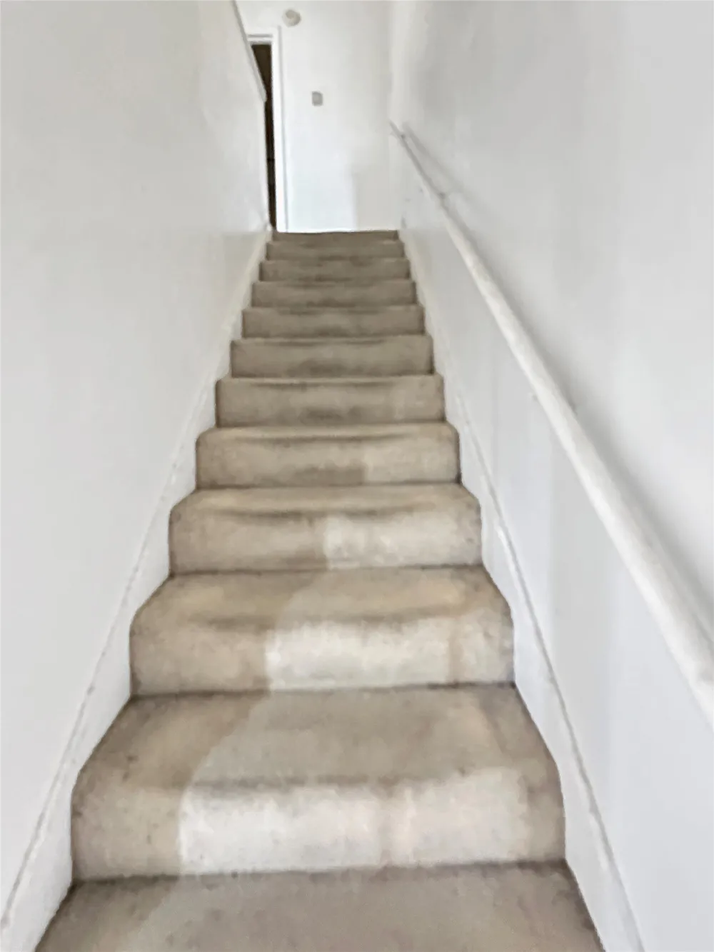 922 Fannin Street #109 Denton, TX 76201