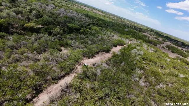 0000 FM 534 Sandia, TX 78383