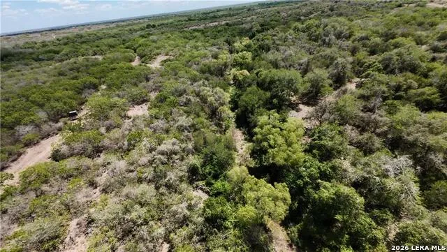 0000 FM 534 Sandia, TX 78383