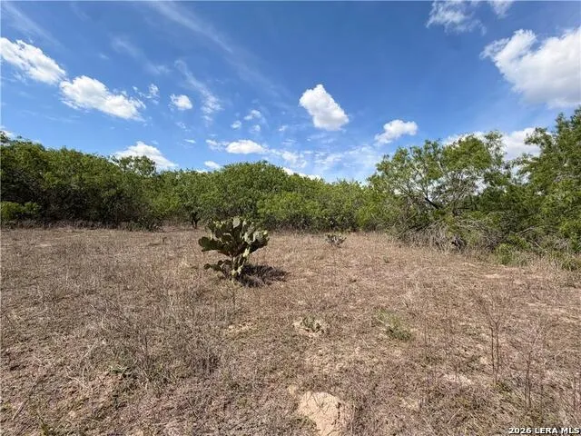 0000 FM 534 Sandia, TX 78383