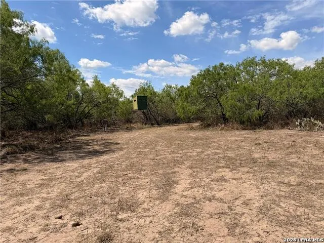 0000 FM 534 Sandia, TX 78383