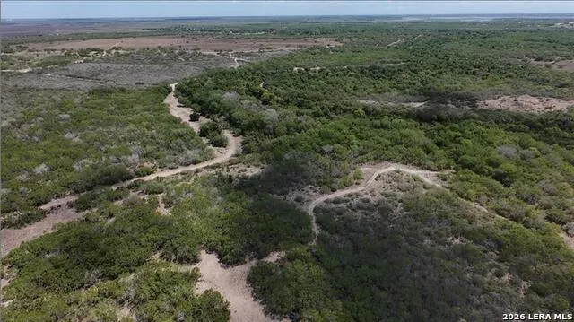 0000 FM 534 Sandia, TX 78383