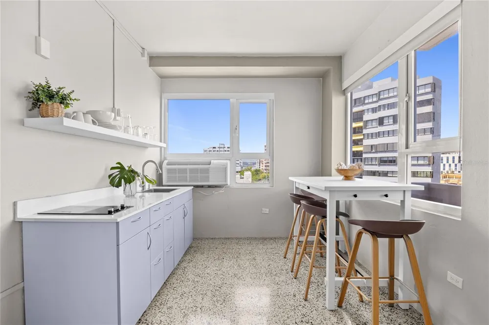 603 MIRAMAR AVENUE #7 San Juan, PR 00907
