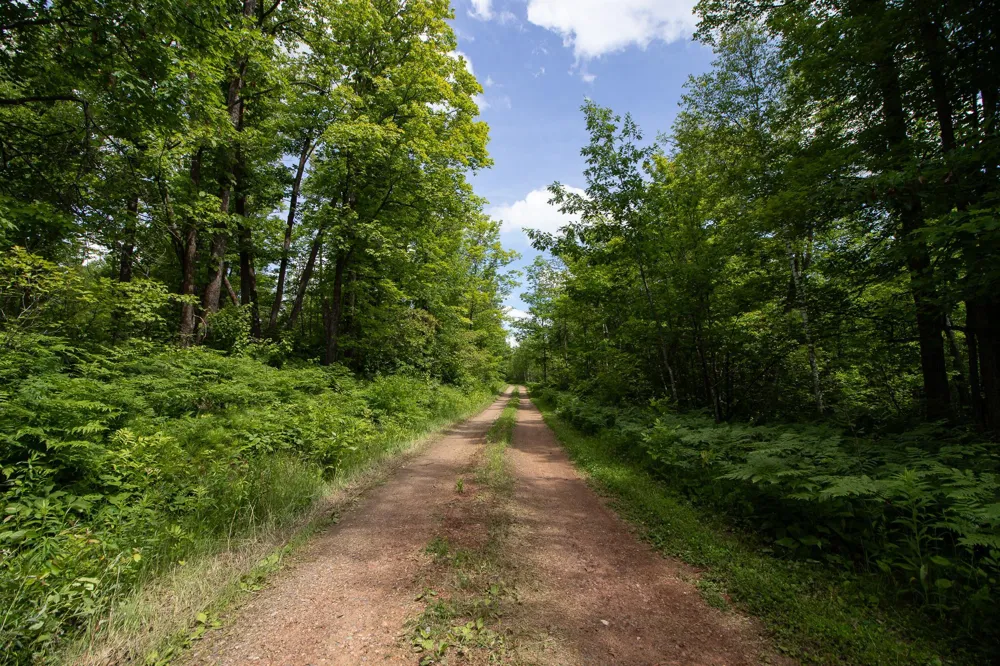 8090 County 52 NE Remer, MN 56672