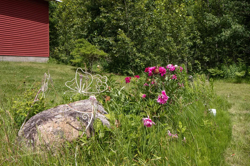8090 County 52 NE Remer, MN 56672