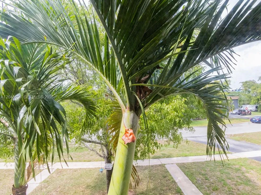 4648 NW 9th Dr #4648 Plantation, FL 33317