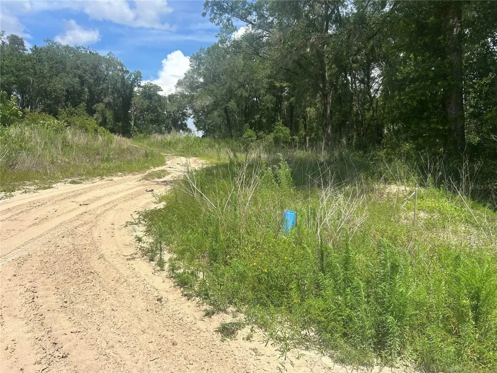 4392 E JAY STREET Inverness, FL 34453