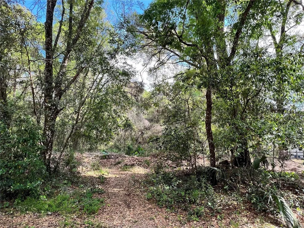 0 GARFIELD AVENUE Brooksville, FL 34604