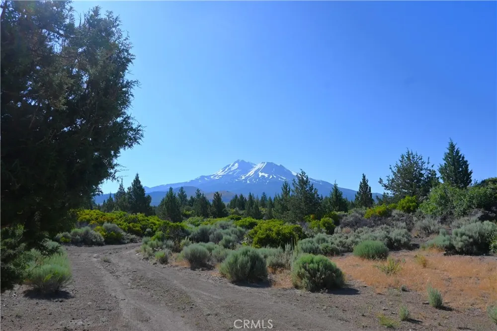 7021 Quarry Rd Weed, CA 96094