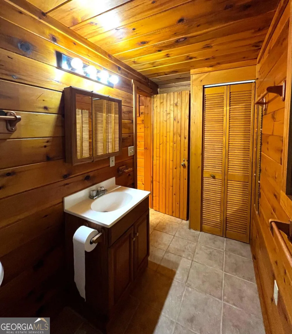 187 Tiffany LN Mineral Bluff, GA 30559