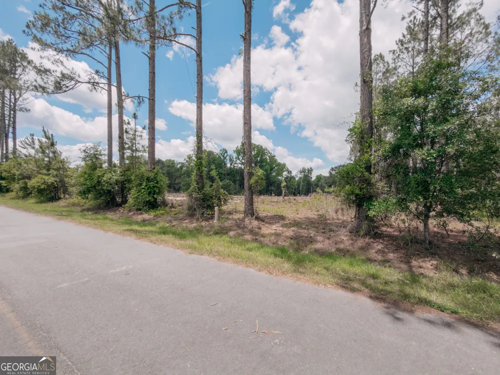 0 Issac RD Claxton, GA 30417