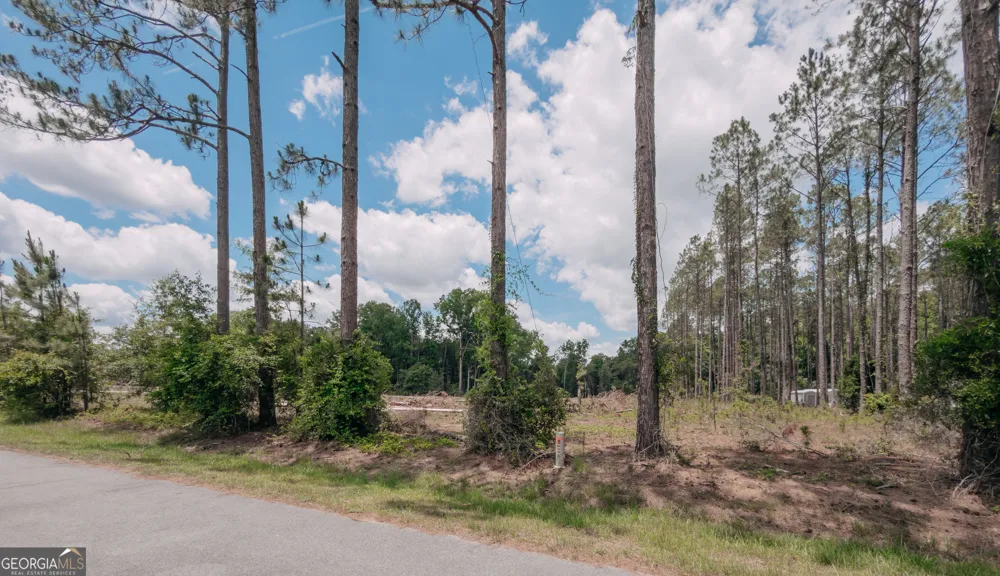 0 Issac RD Claxton, GA 30417