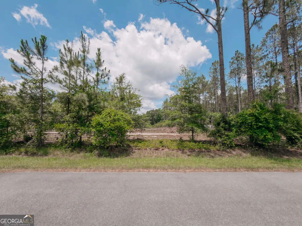 0 Issac RD Claxton, GA 30417