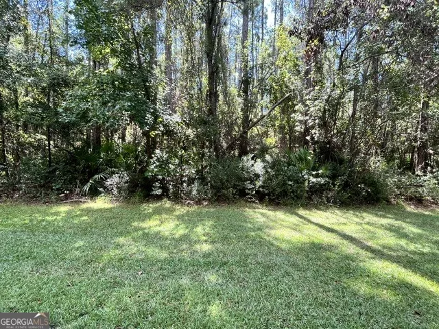 LOT 19 Lighthouse CIR Woodbine, GA 31569