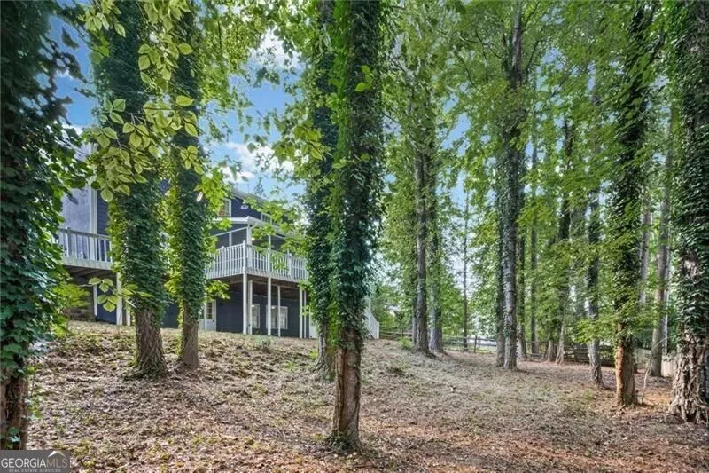 10985 Wilshire Chase DR Johns Creek, GA 30097