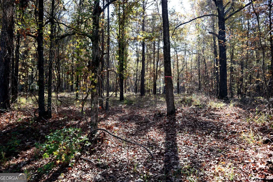 1438 Jamesway DR Sparta, GA 31087