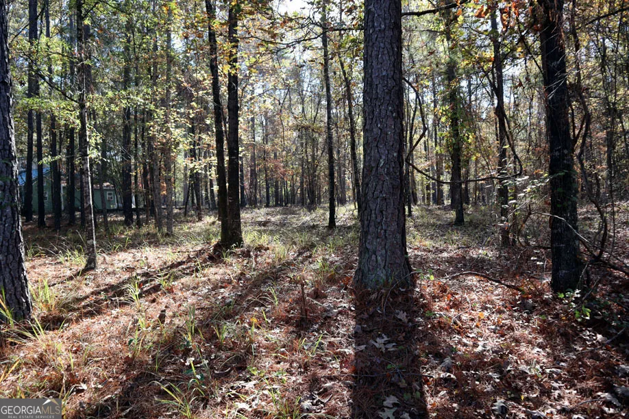 1438 Jamesway DR Sparta, GA 31087